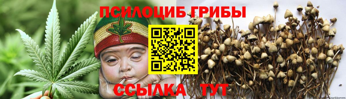 Галлюциногенные грибы ЛСД  Вход с VPN  Пенза 